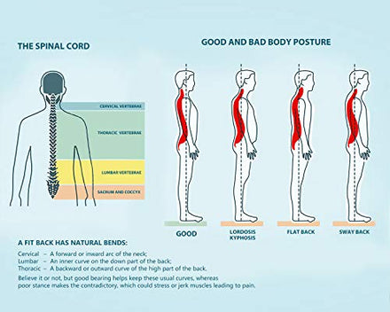 Clinical Complications Associated With Bad Posture